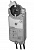GCA166.1E | BPZ:GCA166.1E GCA166.1E | BPZ:GCA166.1E